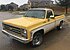 1979 Chevrolet C/K Trucks Silverado for sale 100855920